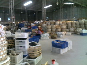 库存日用百货的管理与优化——以蔡秀敏的日用百货店为例